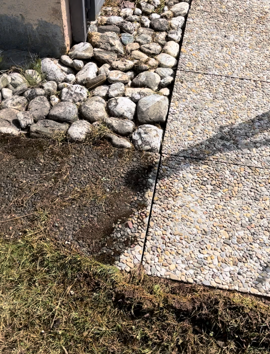 Gartenwege werden auch sauber nach Reinigungsarbeiten Steinebrunn